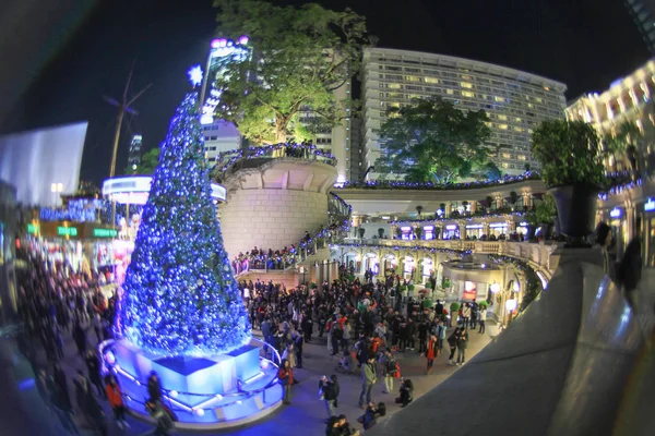 Árvore Natal 1881 Patrimônio Hong Kong 2010 — Fotografia de Stock