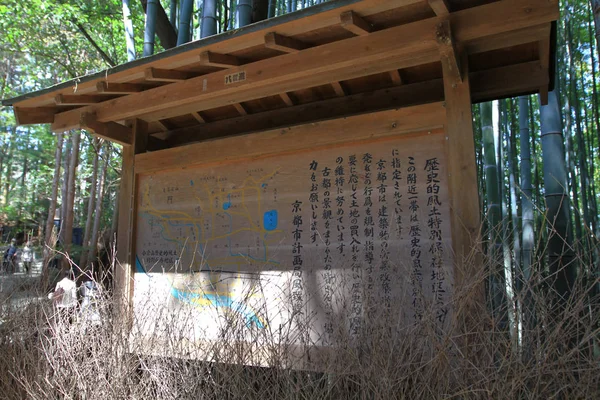 Uma Paisagem Floresta Bambu Vista Arashiyama Kyoto — Fotografia de Stock