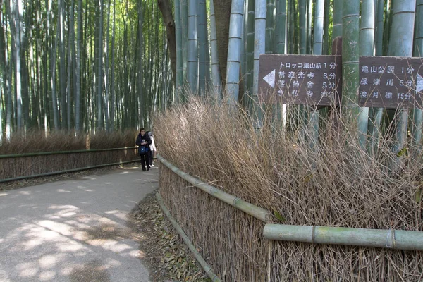 京都岚山的竹林景观观 — 图库照片