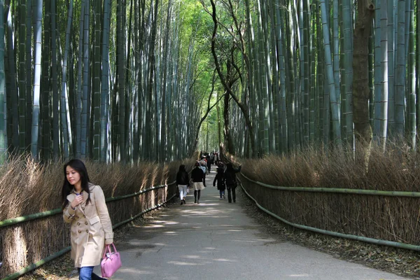 Μια Θέα Τοπίο Στο Δάσος Μπαμπού Στο Arashiyama Κιότο — Φωτογραφία Αρχείου