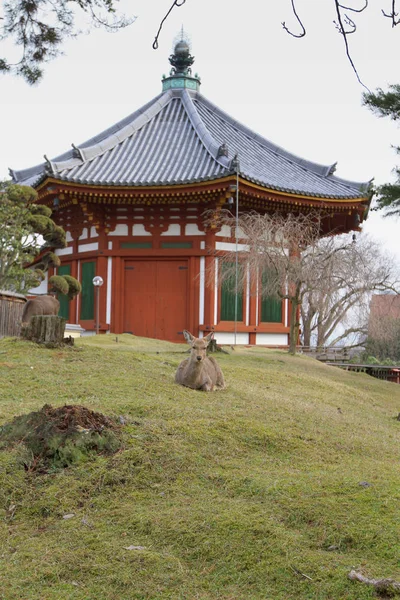 Przybytek Nara Japonii Wiosna — Zdjęcie stockowe