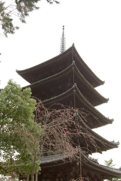 日本の春に奈良の興寺 — ストック写真