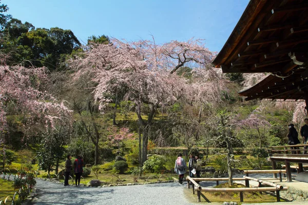Zen Garden Tenryu Kyoto Japan — Stock Photo, Image