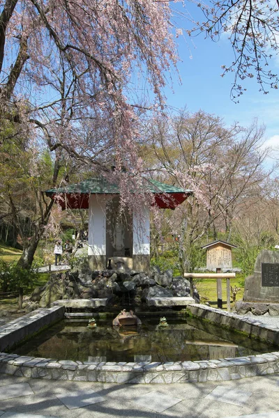 Zen Trädgård Tenryu Kyoto Japan — Stockfoto