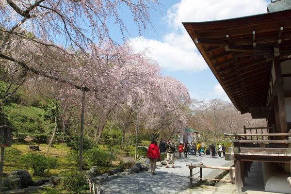 Giardino Giapponese Del Tempio Tenryu Kyoto — Foto Stock