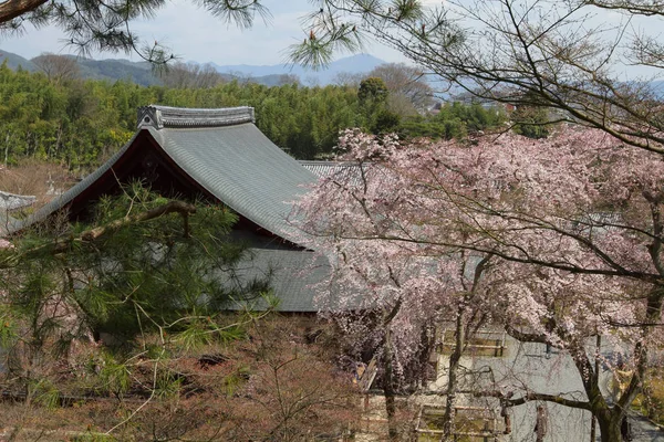 寺天龍寺 京都の日本庭園 — ストック写真