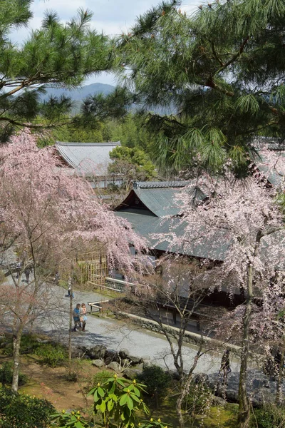 Japanischer Garten Des Tempels Tenryu Kyoto — Stockfoto