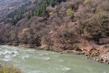Sagano'da kanko çizgi manzara görünümünü