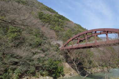 Sagano'da kanko çizgi manzara görünümünü