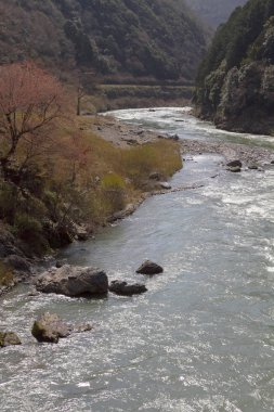 Sagano'da kanko çizgi manzara görünümünü
