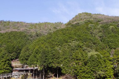Kyoto, Japonya dışındaki romantik tren nehirden