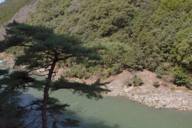 Kyoto, Japonya dışındaki romantik tren nehirden
