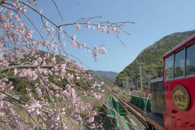 Sagano'da romantik tren Kyoto park ediyor