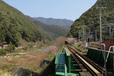 Sagano'da romantik tren Kyoto park ediyor