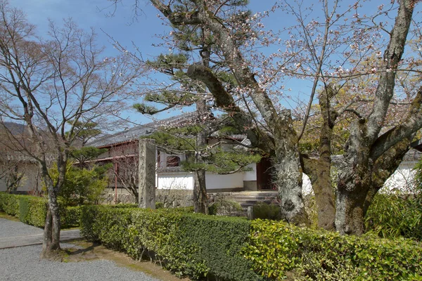 Templo Tenryu Kyoto Japão — Fotografia de Stock