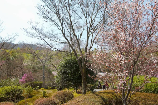 京都禅园与天龙寺 — 图库照片