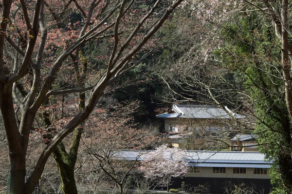 嵯峨野観光線の景観 — ストック写真