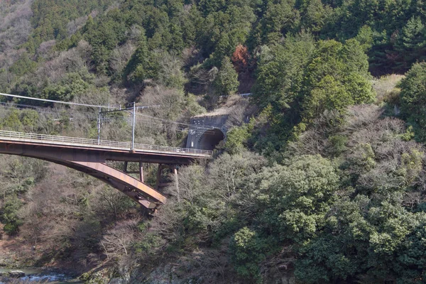 Tåg Utanför Kyoto Flod Arashiyama — Stockfoto