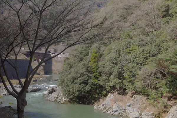 Kyoto Japonya Dışındaki Romantik Tren Nehirden — Stok fotoğraf