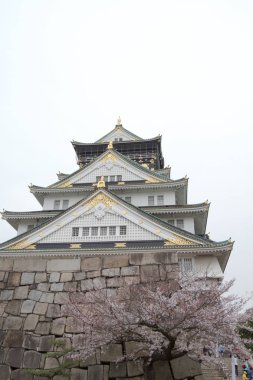 Japonya'nın osaka Osaka Kalesi