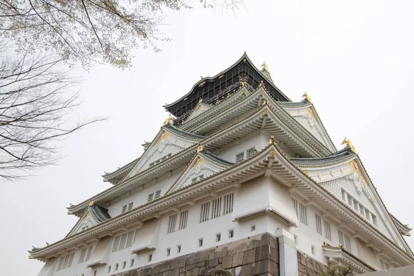 Εποχή Κεράσι Ανθίσει Κάστρο Οζάκα Osaka — Φωτογραφία Αρχείου