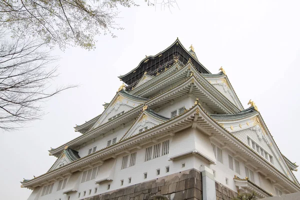 Osaka Castillo Flor Cerezo Temporada Osaka —  Fotos de Stock