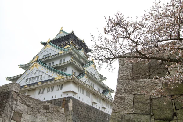 Osaka Hrad Třešní Osaka — Stock fotografie