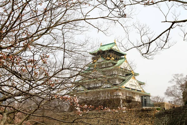 Castillo Osaka Temporada Flores Cerezo —  Fotos de Stock