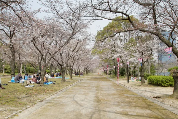 Castelo Osaka Jardim Ameixa Osaka Japão — Fotografia de Stock