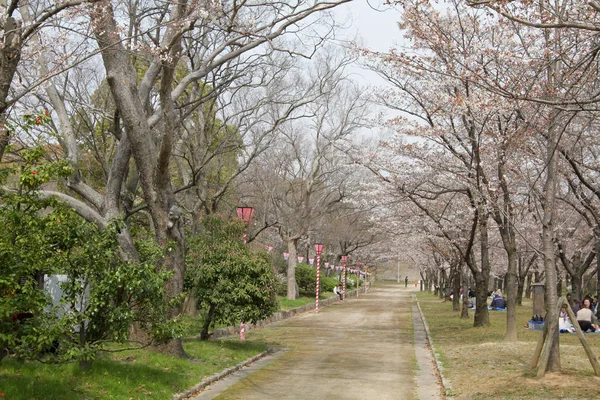 Castillo Osaka Jardín Ciruela Osaka Japón — Foto de Stock