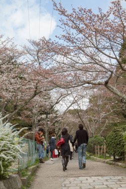 kyoto Japonya sokak görünümü