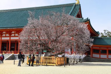Heian tapınak panoramik görünümü, Kyoto Japonya.