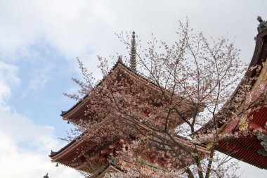 Kiyomizu Dera Tapınağı Kyoto Japonya'da