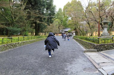 Kyoto Kinkakuji Tapınağı'nda Bahçe