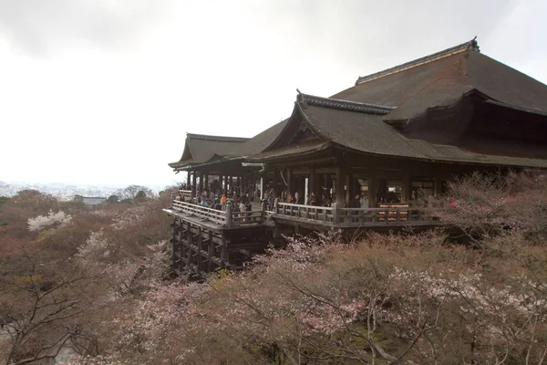 Dera Kiyomizu Rozciągacz Kioto Japonii — Zdjęcie stockowe