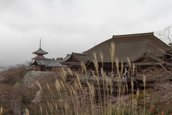 Kiyomizu Dera Temple Kyoto Japán — Stock Fotó