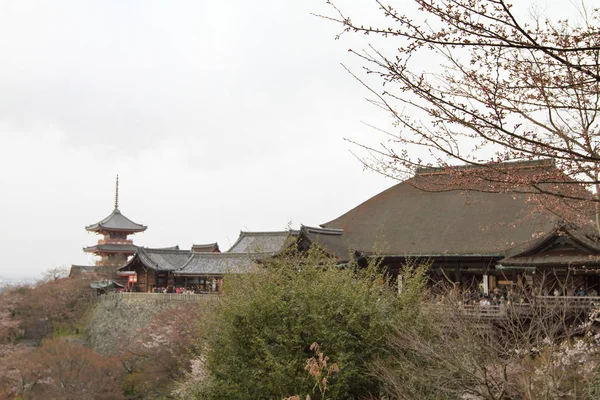Tempio Kiyomizu Dera Giappone Kyoto — Foto Stock