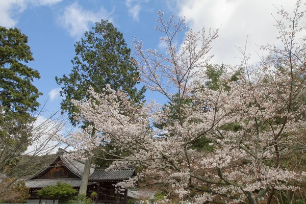 Nanzen Temple Кіото Японія — стокове фото