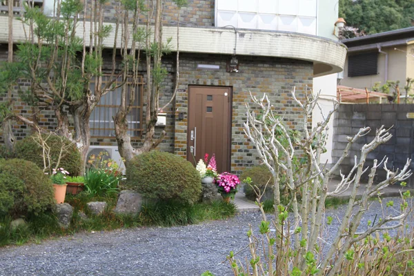 Uma Cereja Floresce Caminho Filósofo Kyoto — Fotografia de Stock