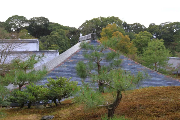 Zen Trädgård Den Gyllene Paviljongen — Stockfoto