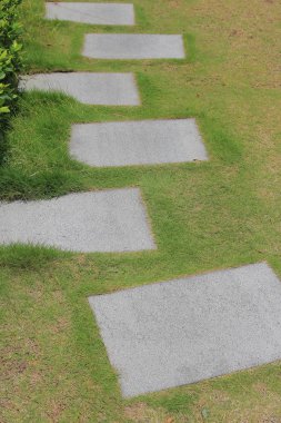 bir bahçede yeşil bir çayır bir Stepping taşlar