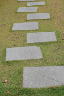 bir bahçede yeşil bir çayır bir Stepping taşlar