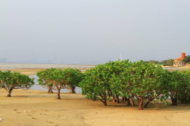 Ha Pak Nai, Yuen Long, Hong Kong