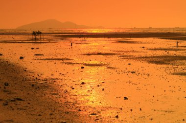Ha Pak Nai, Yuen Long, Hong Kong