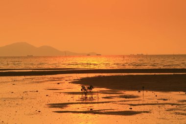 Ha Pak Nai, Yuen Long, Hong Kong