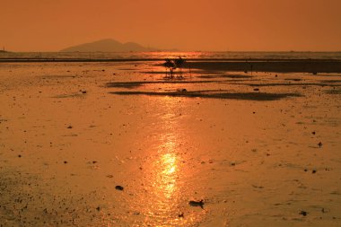Ha Pak Nai, Yuen Long, Hong Kong