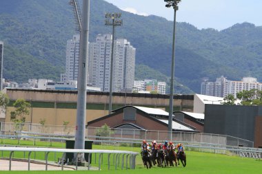 Hong Kong Racecourse adlı yarış atı