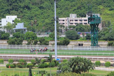 At yarışı Kong'da sırasında ifade