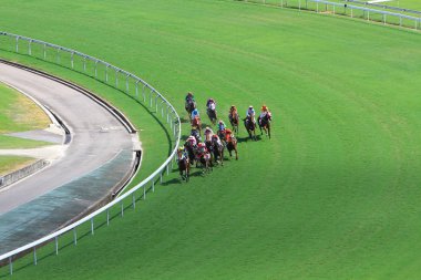 Hong Kong Jockey Club adlı yarış atı.