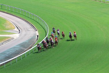 Hong Kong Jockey Club adlı yarış atı.